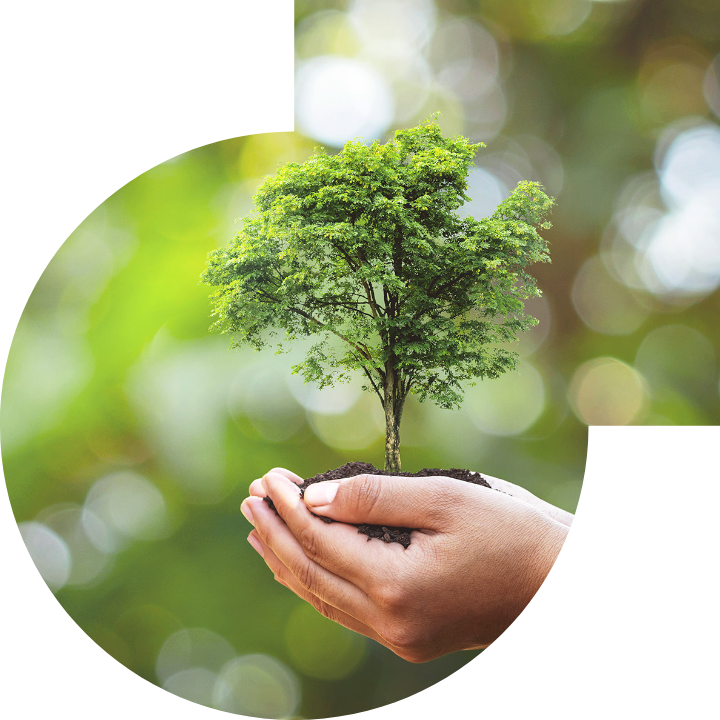 关怀人类、文化、环境与社会